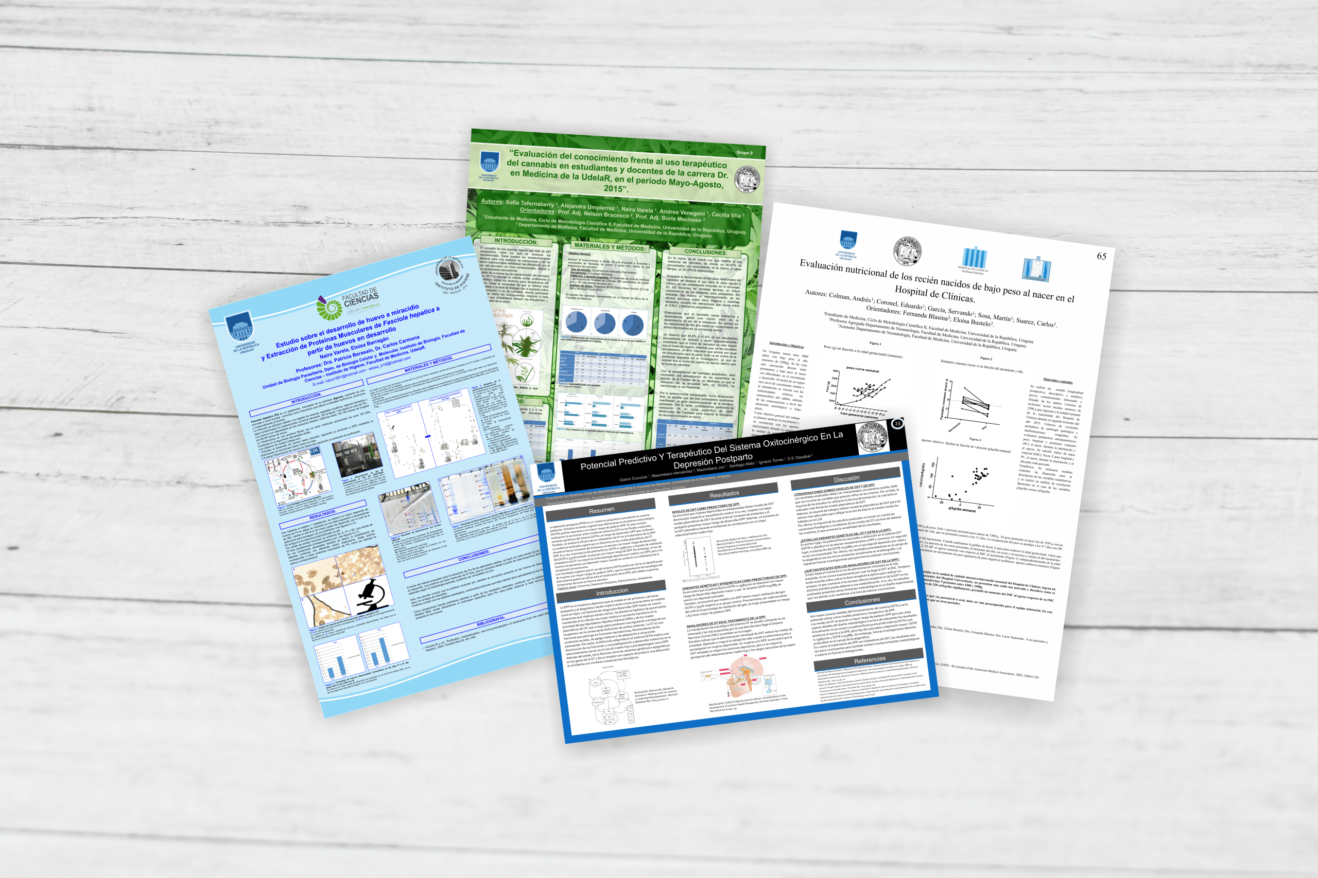 Cuatro posters científicos impresos en diferentes diseños y colores, colocados sobre una superficie clara de madera.